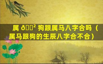 属 🌲 狗跟属马八字合吗（属马跟狗的生辰八字合不合）